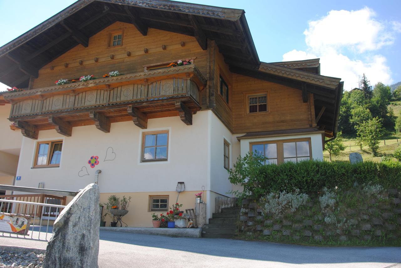 "Opa Sepp" - Gartenwohnung Niedernsill Exterior photo